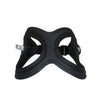 LE BUDDY BELT SPORT BLACK
