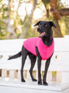 LA POLAIRE SIMPLE <br> ROSE NEON