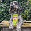 DENTAL STICKS CHOU KALE + POMME <br>  Soopa
