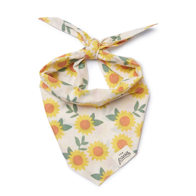 TOURNESOL ECRU