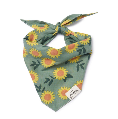 TOURNESOL KHAKI