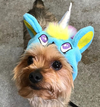 BONNET LICORNE ROSE & BLEU <br> pour petits, moyens et grands chiens!