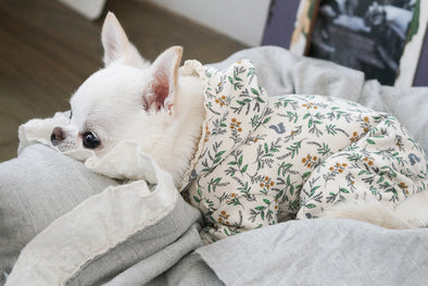 LA COMBI "BOTANIQUE" by Louisdog <br> Collection Printemps 2019