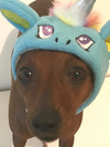 BONNET LICORNE ROSE & BLEU <br> pour petits, moyens et grands chiens!