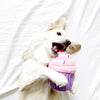 LE CUPCAKE ROSE