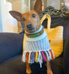 LE PONCHO RAINBOW