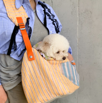 LE SAC ORANGINA  by Louisdog