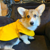 LE PONCHO MATELOT JAUNE