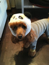 BONNET SOURIS & PANDA <br> pour petits, moyens et grands chiens!