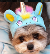 BONNET LICORNE ROSE & BLEU <br> pour petits, moyens et grands chiens!