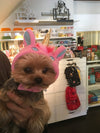 BONNET LICORNE ROSE & BLEU <br> pour petits, moyens et grands chiens!