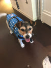 GILET DE SAUVETAGE A POIS <br> rose ou bleu