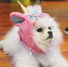 BONNET LICORNE ROSE & BLEU <br> pour petits, moyens et grands chiens!