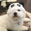 BONNET SOURIS & PANDA <br> pour petits, moyens et grands chiens!