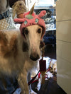 BONNET LICORNE ROSE & BLEU <br> pour petits, moyens et grands chiens!