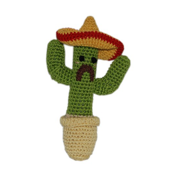 CARLITO LE CACTUS