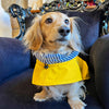 LE PONCHO MATELOT JAUNE