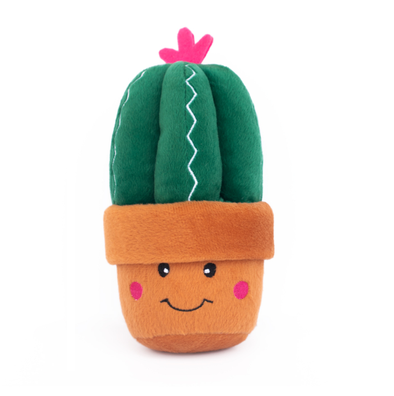 CARMEN LE CACTUS