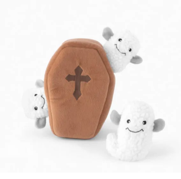 LE CERCUEIL DES PETITS FANTOMES