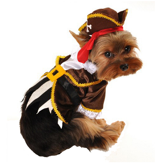 COSTUME PIRATE <br> pour petits et moyens chiens! <br> uniquement vendu en boutique