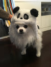 BONNET SOURIS & PANDA <br> pour petits, moyens et grands chiens!