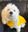 LE PONCHO MATELOT JAUNE