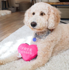 LE COEUR FREE KISSES