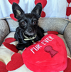 LE COEUR "FUR EVER"