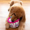 LE HAPPY BARKDAY CAKE