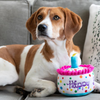 LE HAPPY BARKDAY CAKE