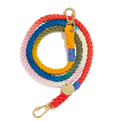 RAINBOW "HARLEM"