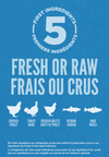 ORIGINAL <br> Croquettes <br> Orijen