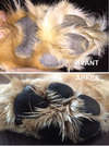 PROTECTION DES PATTES <br> PAWTECTION <br> Natural Dog Company