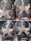 PROTECTION DES PATTES <br> PAWTECTION <br> Natural Dog Company