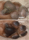 PROTECTION DES PATTES <br> PAWTECTION <br> Natural Dog Company