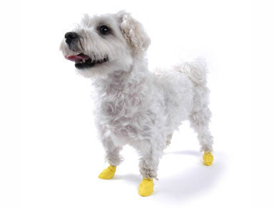 LES PAWZ <br> 12 Botillons Réutilisables.