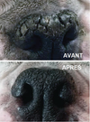 SOIN DE LA TRUFFE <br> SNOUT SOOTHER <br> Natural Dog Company