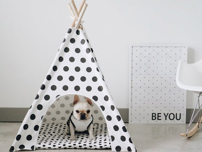 LE TEE-PEE POLKA