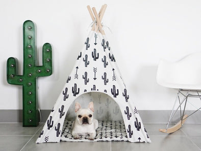LE TEE-PEE CACTUS