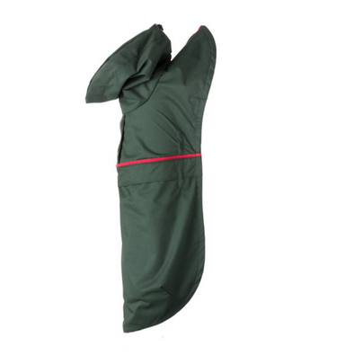 LE TINTIN VERT OLIVE