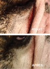 SOIN DES RIDES <br> WRINKLE BALM <br> Natural Dog Company