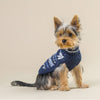 LE WINTERLAND BLEU MARINE