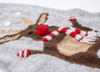 RENNES DE NOEL