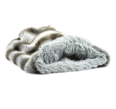 LE CHINCHILLA GRIS