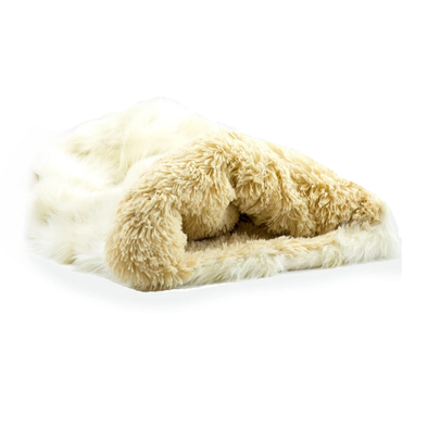 LE RENARD BLANC