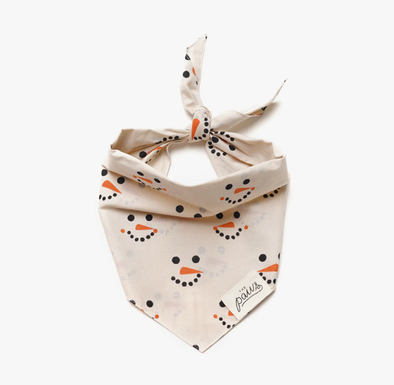 FROSTY SNOWMAN