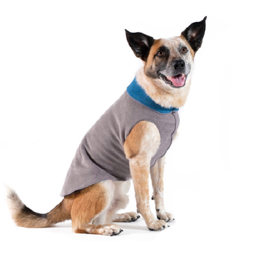 LA POLAIRE DOUBLE <br> Reversible <br> GRIS / BLEU