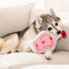 LOVE PAWTION