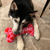 PUPPY LOVE BONE
