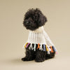 LE PONCHO RAINBOW